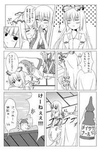 (C84) [Idobata Kaigisho (Fried)] Watashi no Kawaii Mokotan (Touhou Project)