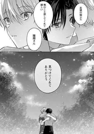 Sagashi Mono wa Kimi desu ka