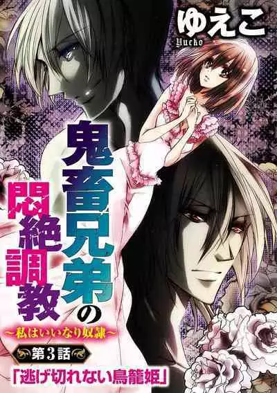 鬼畜兄弟の悶絶調教～私はいいなり奴隷～