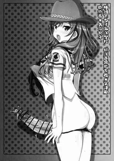 Hae furi spirits mod.11.0