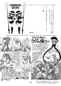 (C58) [BLACK DOG (Kuroinu Juu)] GOLD EXPERIENCE (Sailor Moon) [2nd Edition]