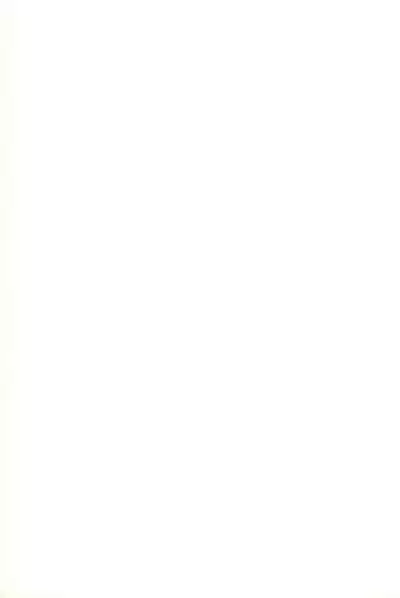 [Marchen Honpo (Various)] Yonku Yuugi Maki no Ni (Bakusou Kyoudai Let's & Go!!)