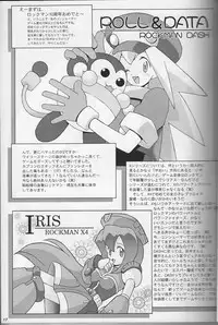 (CR21) [Bakuhatsu BRS. (B.Tarou)] CAPSULE COMPUTER (Rockman DASH) [Incomplete]