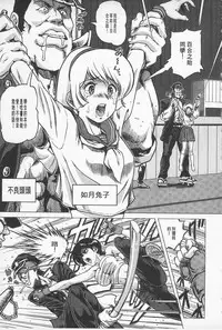 [keso] Hikoushiki Heroine Zukan | 非公式女性角色圖姦 [Chinese]