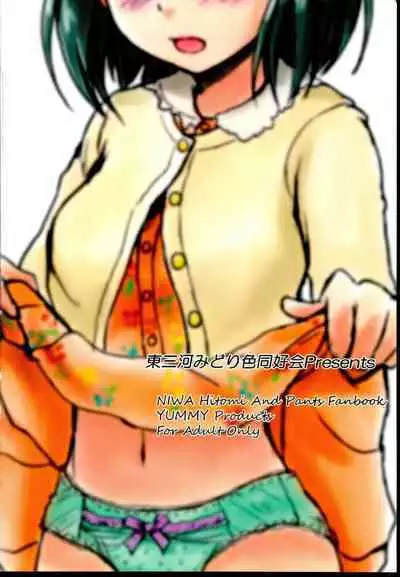 Idol no Pants o Nugasanaide Chome Chome Suru Hon ver. Niwa Hitomi