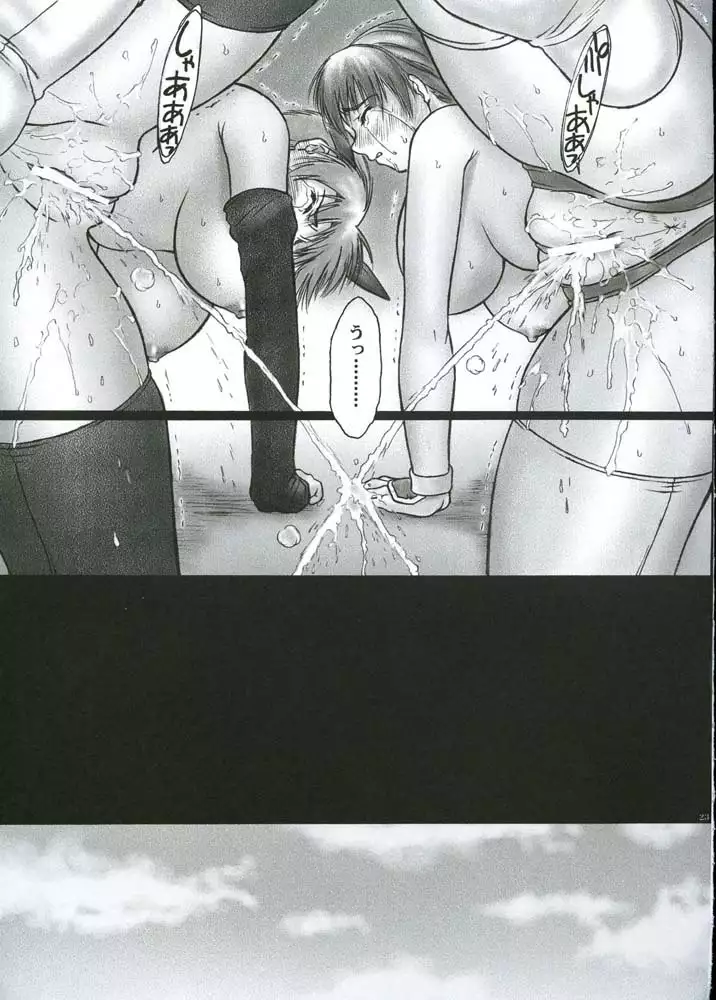 Fire Wire 05 - Inu - Incident