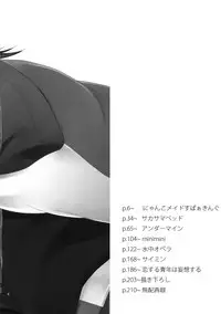 (SPARK9) [BORO ZS (Hyakuichi Nemu)] BOROZS Usagi Tora Sairoku 2 (TIGER & BUNNY)