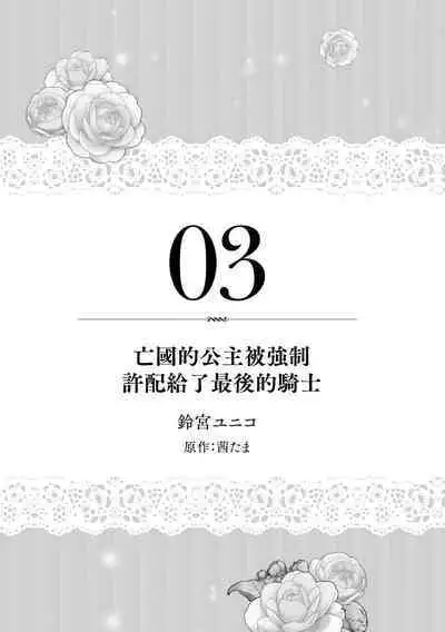 bōkoku no hime wa saigo no kishi to kyōsei-teki ni tsugai ni sa se rareru | 亡国的公主被强制许配给了最后的骑士