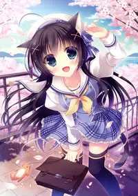 [Yukie] MOEOH Selection Flower Flower Yukie Gashuu