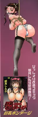 [Shizuki Shinra] Kiken na Asobi