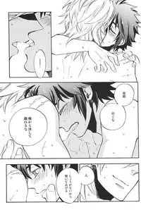 (C88) [Makibishi (Tsunako)] Love Log 3 (Sengoku BASARA)