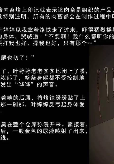 Immolate-The 9th Chapters