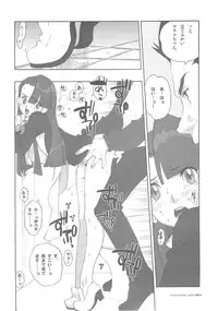 (C67) [HF. (Fujimoto Hideaki)] Heroinesfiesta. (Various)