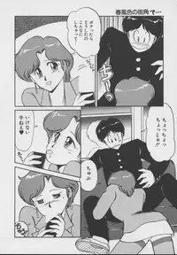 [DONKEY] Dokkin Taiken WAY