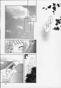 [APRICOT PIE (Miyake Hikaru)] Apricot Collection (CardCaptor Sakura)