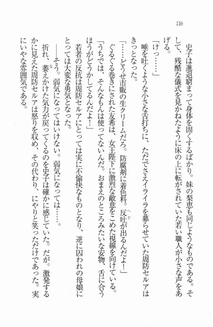 メイド喫茶　猫の隠れ家