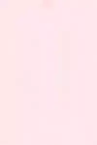 (C77) [Youki M.K.C. (Youki Akira)] Koneko Tantei Monogatari (Anyamaru Tantei Kiruminzoo)