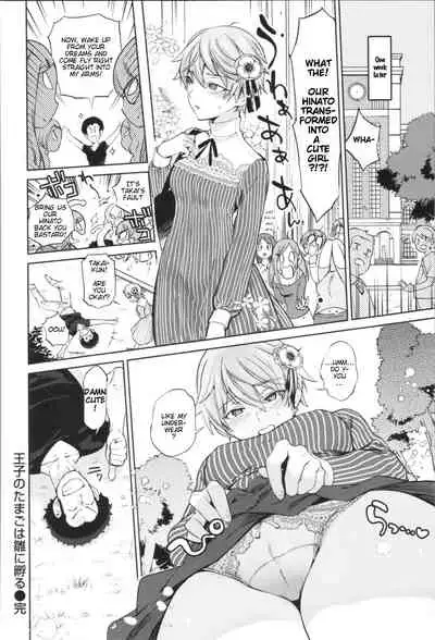 Ouji no Tamago wa Hina ni Kaeru | The Prince's Egg is Hatching