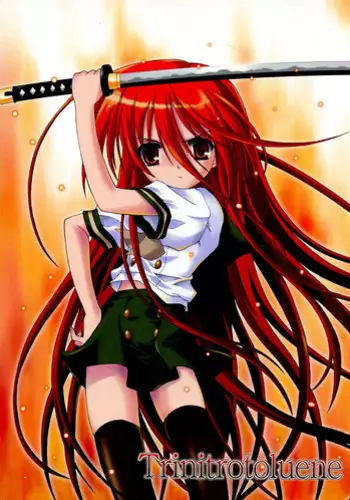 (C66) [Zangyaku Koui Teate (Nasake Muyou)] Trinitrotoluene (Shakugan no Shana)