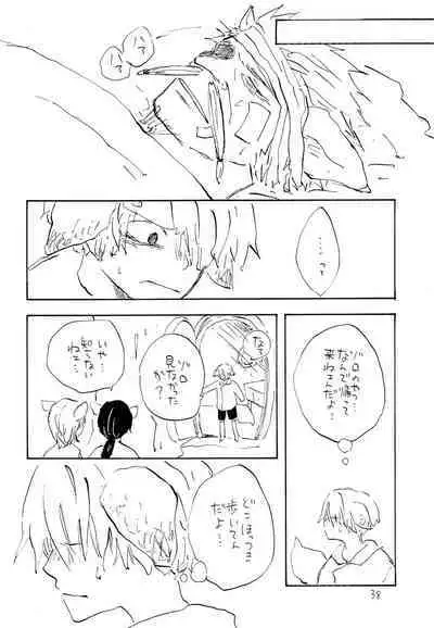 海の虹が沈む森