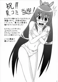 (C80) [Dokomademo Aoi Sora ni Ukabu Niku. (Nikusoukyuu.)] Tsui Kyun (IS <Infinite Stratos>)