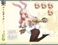 Eiyuu＊Senki GOLD Visual Fanbook