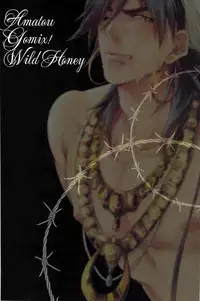 [GOMIX! 甘党 (Wild Haney)] Secret Kingdom