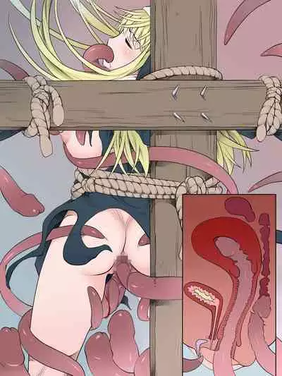 Haritsukeshisutaー～Mamonono Shihaikani Ochitatowo Sukuoutoshita Syuudoujyono Matsuro