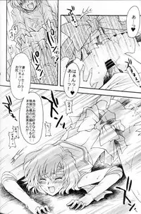 (C67) [Kotori Jimusho (Sakura Bunchou)] chanson de I'adieu (Sailor Moon)