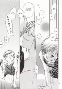 (FMA) Glamour in Pink {eng} (yaoi)