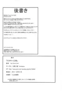 (C95) [Nanakorobi Yaoki (kinntarou)] Scathach Zanmai (Fate/Grand Order)