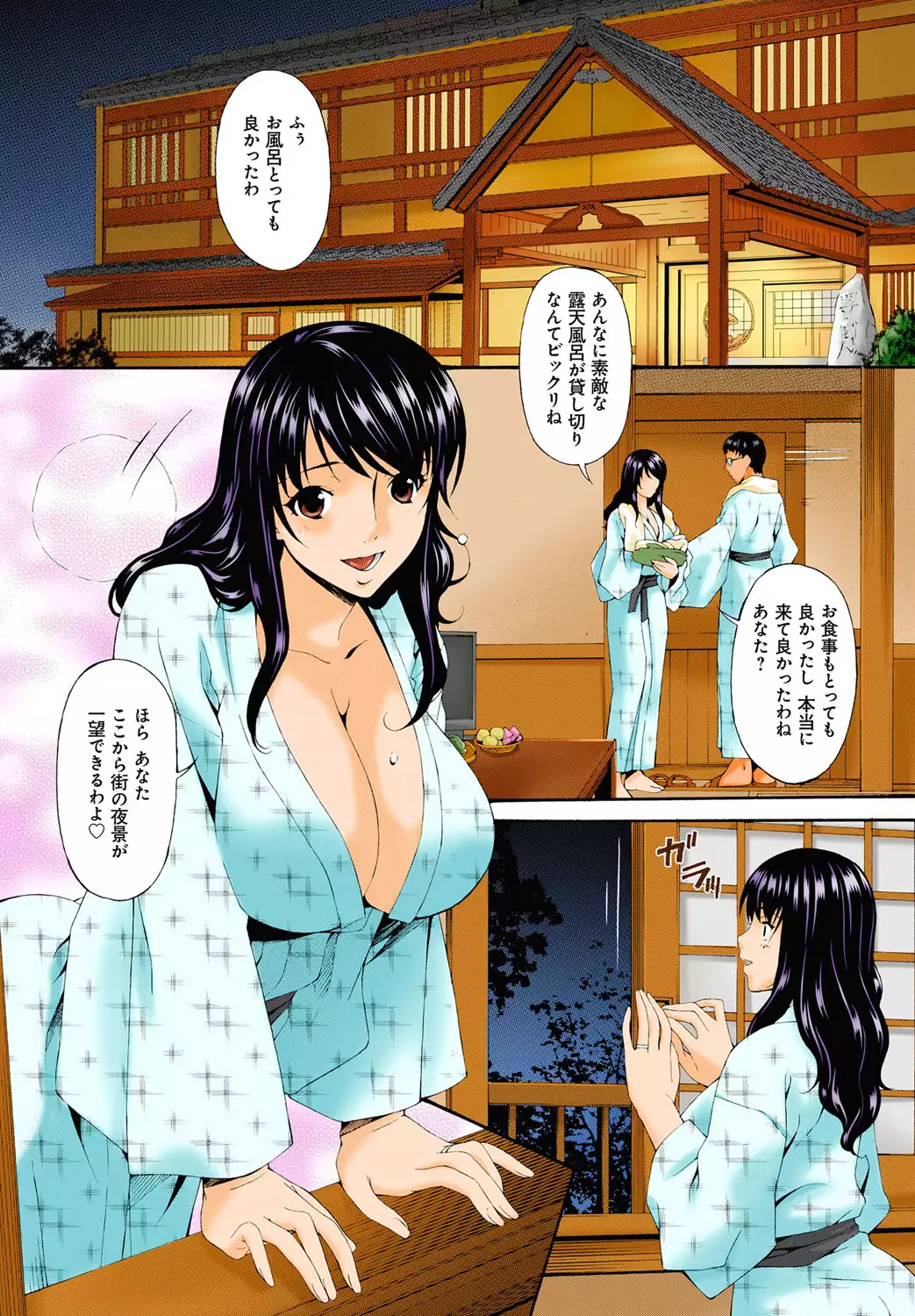 Hametorare full color