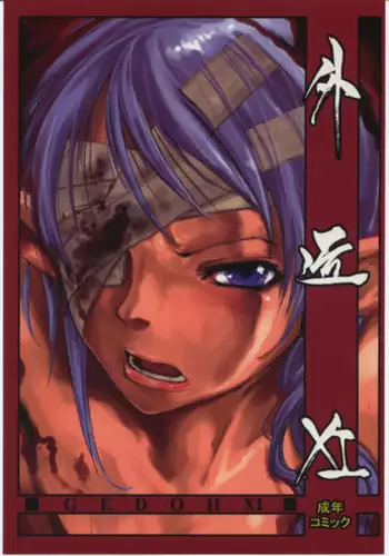 [Circle Daneko (Mr.pavlov)] GEDOH XI (Final Fantasy XI)