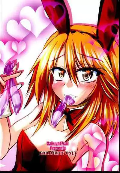 Haru-chin o Oshiro no You na Tatemono ni Tsurekomu Hon