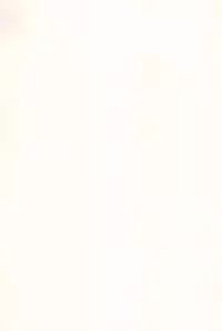 (C89) [EX35 (Kamaboko RED)] Minna ni naisho no setting! (Bakusou Kyoudai Let's and Go!!)