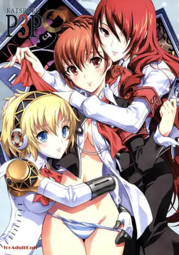 (C77) [Project Harakiri (Kaishaku)] KAISHAKU P3P (Persona 3)