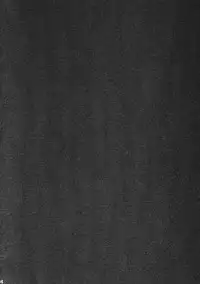 (C77) [IncluDe (Foolest)] ErAseRmoToR maXimUM (Touhou Project)