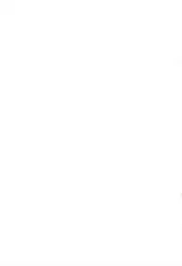 (Reitaisai 10) [Gainamon (Natsu no Koucha)] Toraware Yousei (Touhou Project)