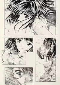 (C62) [Henrei-kai (Kawarajima Koh)] Dosei Ame (Bishoujo Senshi Sailor Moon)