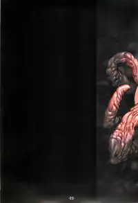 (C66) [HQ's (Kajiyama Hiroshi)] RB-WORKS BACKUP Injuu Maboroshi Yume