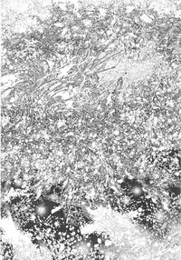 Gekkan Comic Muga 2004-06 Vol.10