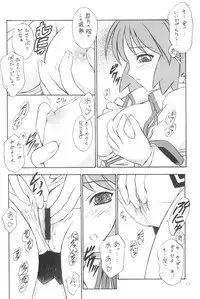 (C64) [Yakan Hikou (Inoue Tommy)] Anemone Flaccida (Routes)