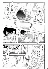(C87) [Issou g (Ichinashi Kimi)] 向日葵の咲く冬 (Shingeki no Kyojin)