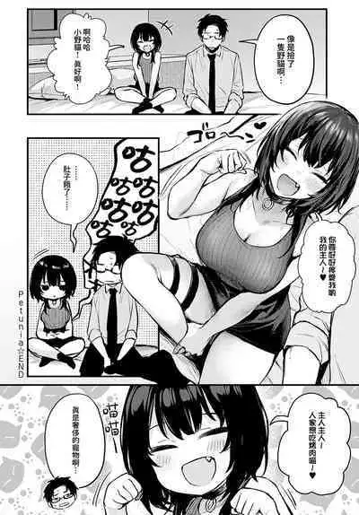 Petunia | 矮牽牛花