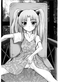 [DPP] usuyami Twillight's Last Gleaming (nadesico)