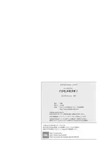 (C84) [Kougeki (Ootsuki Wataru)] Hashihime Mizugi (Touhou Project) [English] [CGrascal]