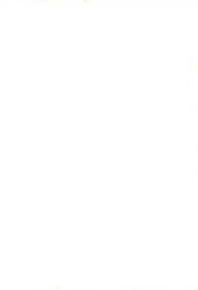 (CR23) [Bakuhatsu BRS. (Bakuhatsu Gorou)] Capsule Computer (Various)