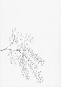 (C92) [Noraneko-no-Tama (Yukino Minato)] Hikari no Kimi no Saganaki Keikaku <Fujitsubo>