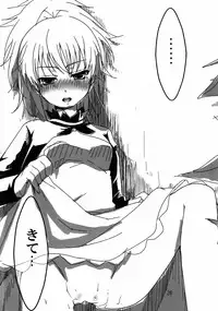 (Puniket 22) [TWILIGHT DUSK (Aikura Mahiru, Aikura Shuuya)] Yome vs Yome (DARKER THAN BLACK)