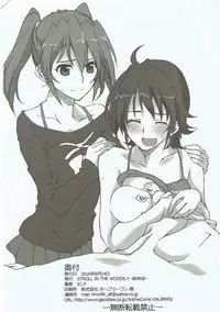 (C90) [STROLL IN THE WOODS !! (ELF)] H o Shitara Dereru Heya ni Haittara (Mahou Shoujo Lyrical Nanoha)